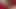 Porno-Szene 1409