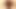 Pussy to Pussy Closeup