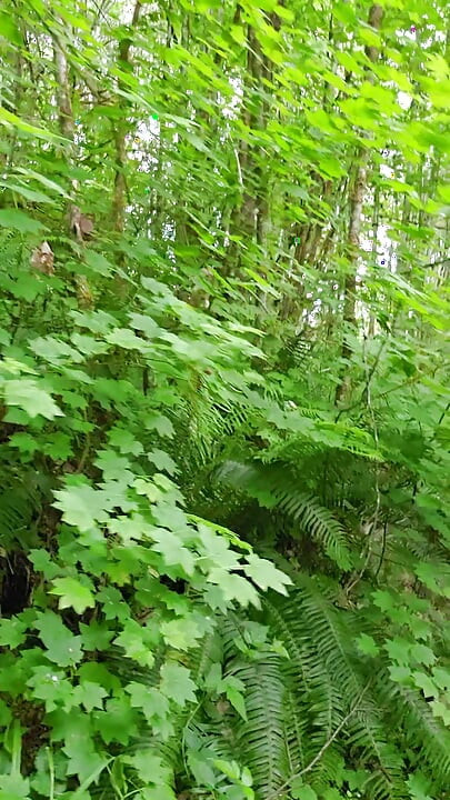 Hitting The Trail Nude