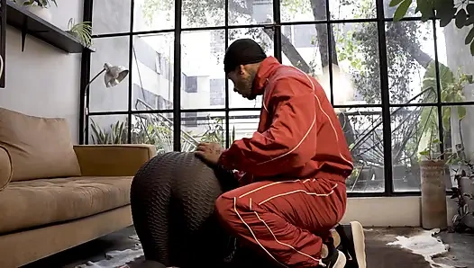 El Coach / the Coach dan Gali Diva