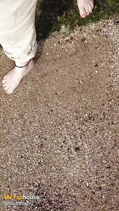 Short Test in the Mudflats on the Beach of Horumersiel