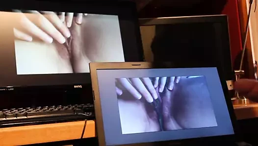 mükemmel kedi