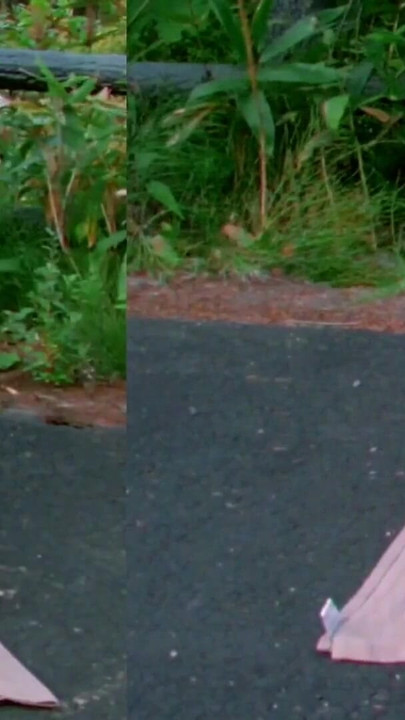 Key moment from "No-pan Omanko Maid Pai-chan Outdoor"