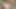 ソフィア・ダイアモンド-2021回のアップロード