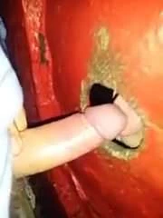 glory piss