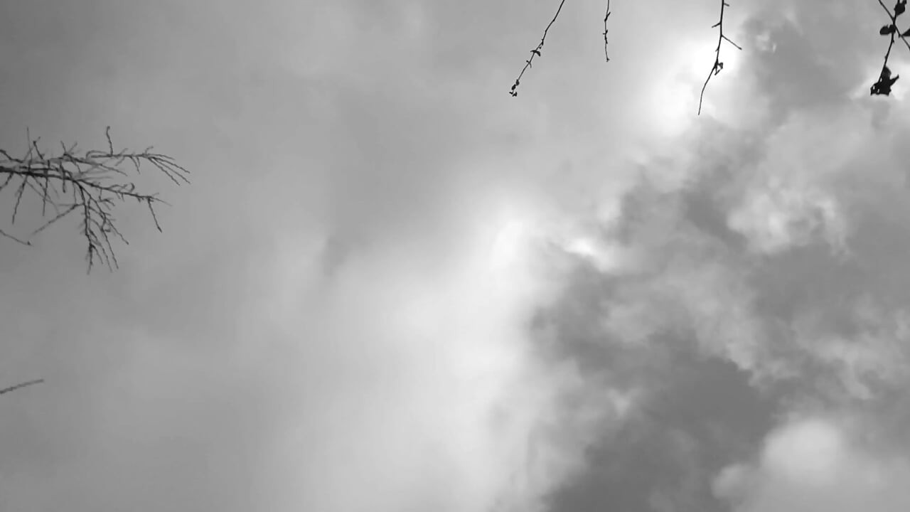 Prkriti men peshab karna