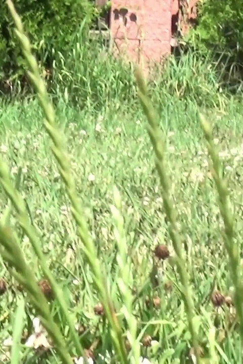 Close to Airport by Got2Pee where girls come to piss