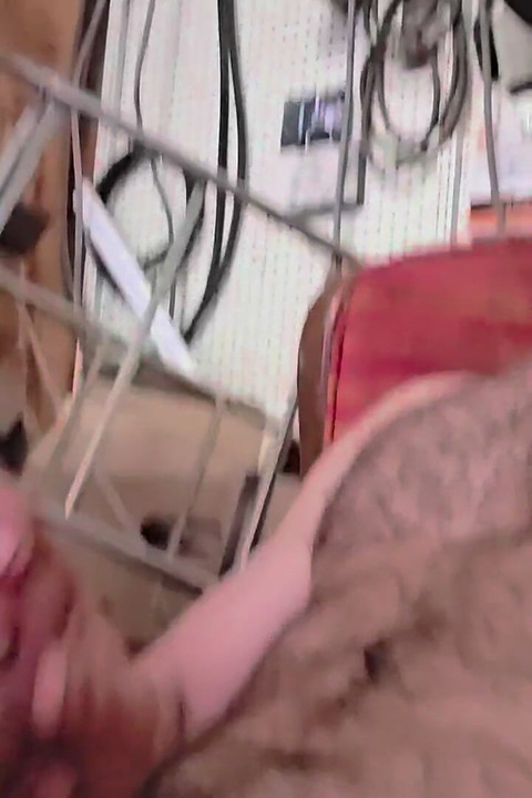 Storage Shed Beat off