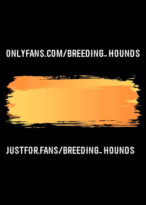 Bearded hairy tattooed bro's kissing, sucking and cuddling in bed because they feel like it.