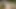 Cumshot Compilation of Creampies and Facials