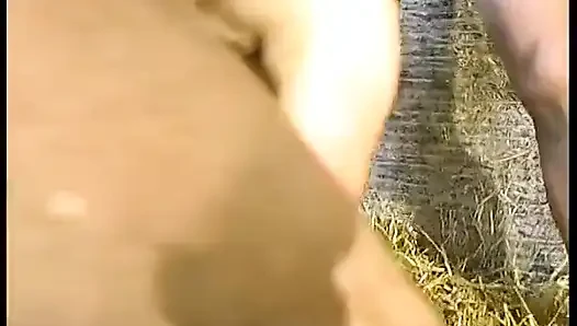 В Ch' Nord мы обожаем трахаться!