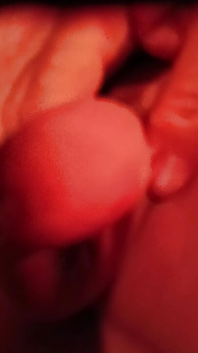 Cute succulent cock