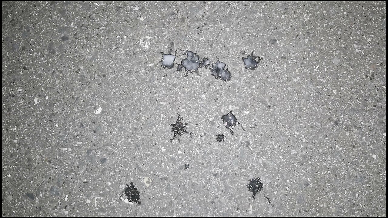 Ryan Pops - Kompilacja wytrysków część 3