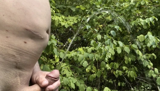 Pissing in nature