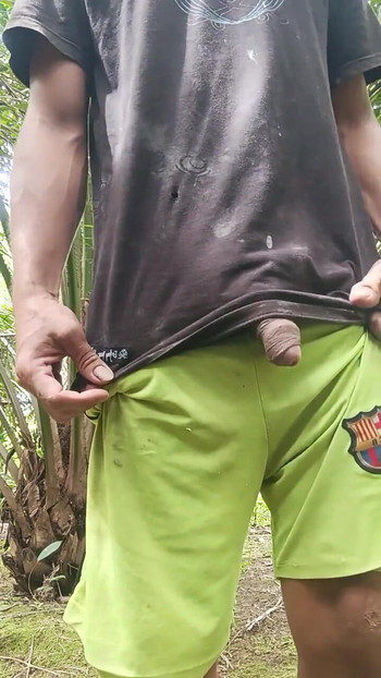 来自“我的花园有一个大鸡巴”的迷人时刻