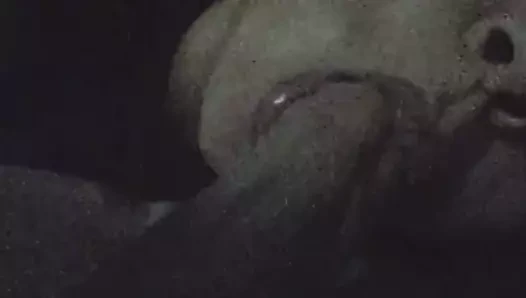 GF melts my cock