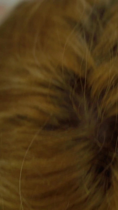 Swallows a Small Dick