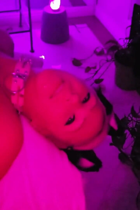 Bonita festa smokey kitty