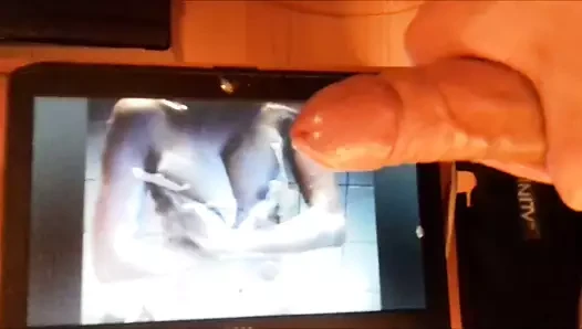Chantalbigones haraç