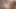 I Lick & Fist His Sweet Arse and Rosebud (Preview)