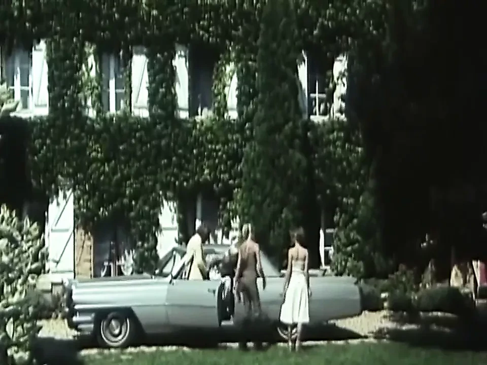 Pornographie Suedoise (1976)