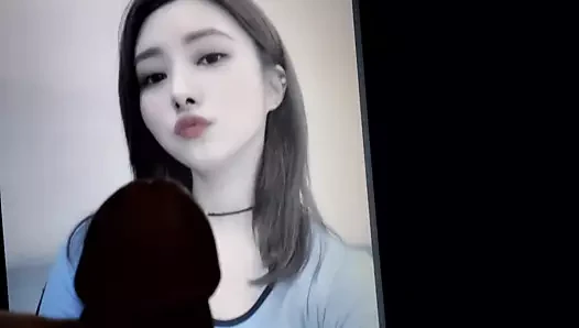 Dreamcatcher sua boşalıyor