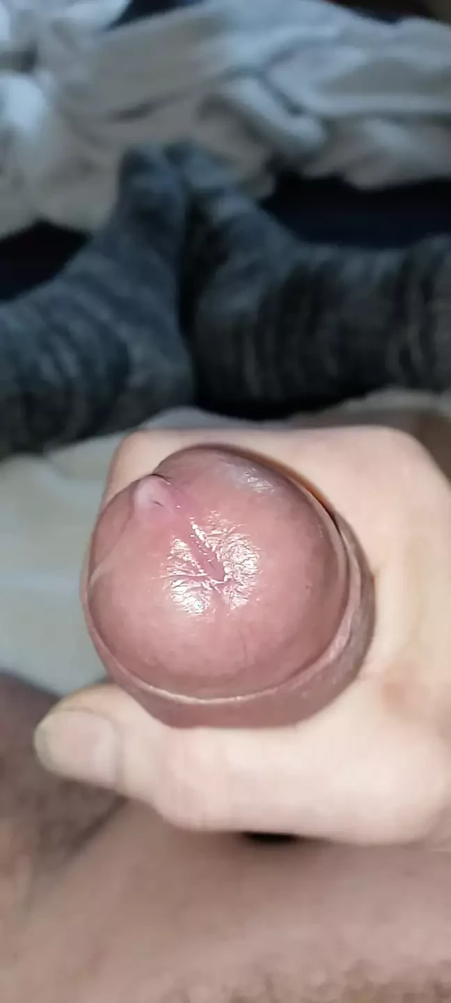 Penis