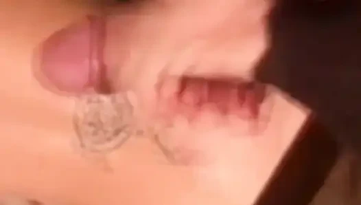 Brandon's Wild Outdoor Adventure