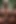 Ai Generated Porn Gorgeous Shemales Orgasm.