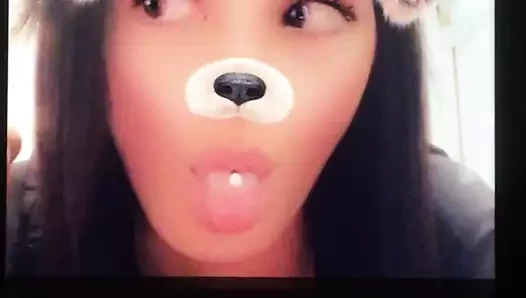 Fransız esmer cumtribute