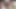 Aç Domuzun Dönüşü 2 4K