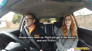 Fake Driving School