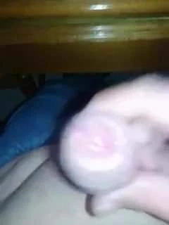 pollita y lechita
