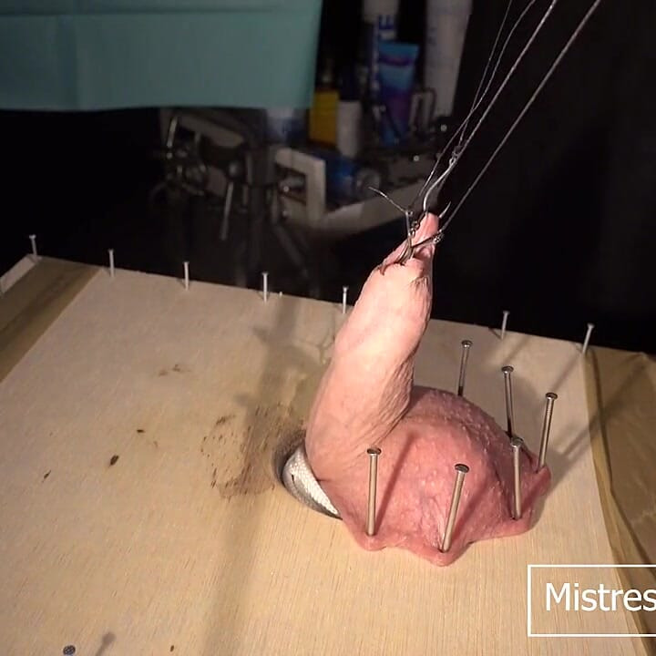 Hardcore CBT with Fishhooks and Needles Part One