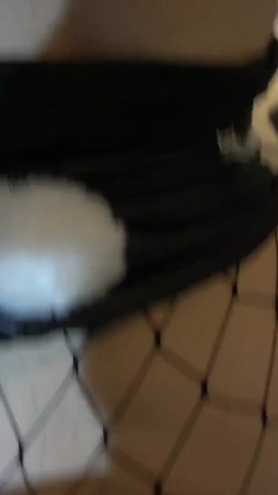 I ordered a pizza but I didn't have the money to pay so I paid him with my buttocks | Clip 1
