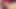 sexy latina girl masturbates in the morning