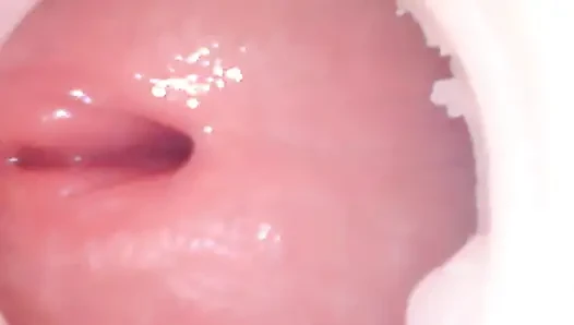 Amcığın derinliklerindeki kamera büyük bir döllenmeyi kaydetti
