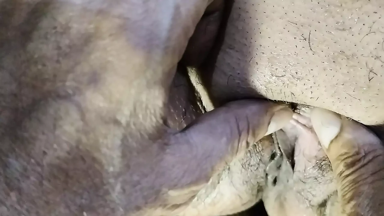 Saving her expert hair cutter hot boobs tiny pussy boobs nipple ko chodo