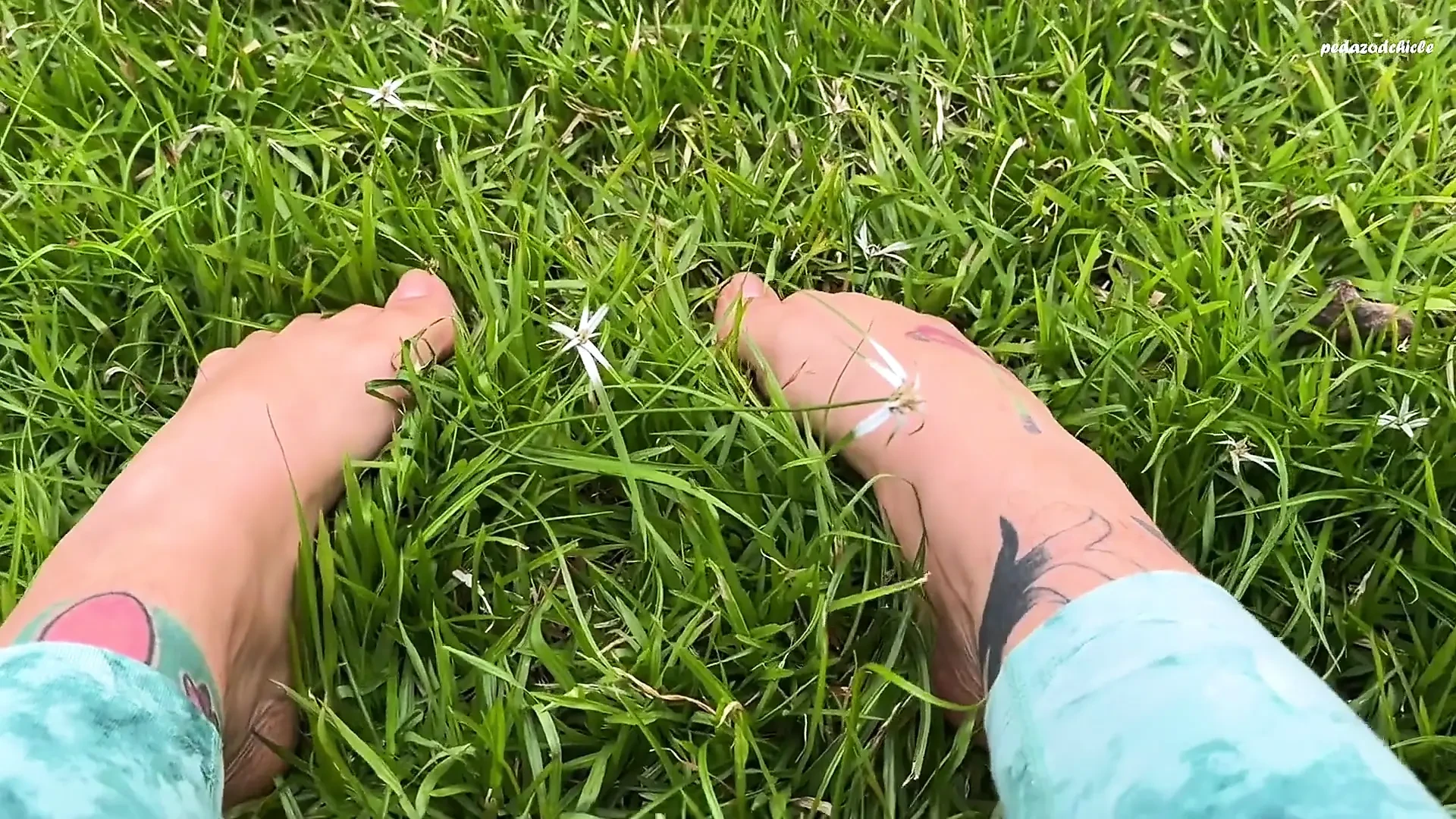 I Let You See My Feet Rubbing and Pressing Against the Grass