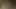 Acı çeken sürtüklerin savaşı - canlı çekim