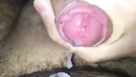 Sikim çekiç gibi