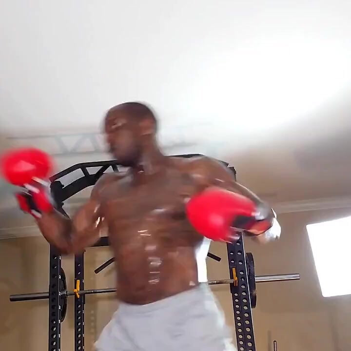Boxing Workout Stabilization Is the Bodys Ability to Provide Optimal Dynamic Support to Maintain Correct Posture During Al