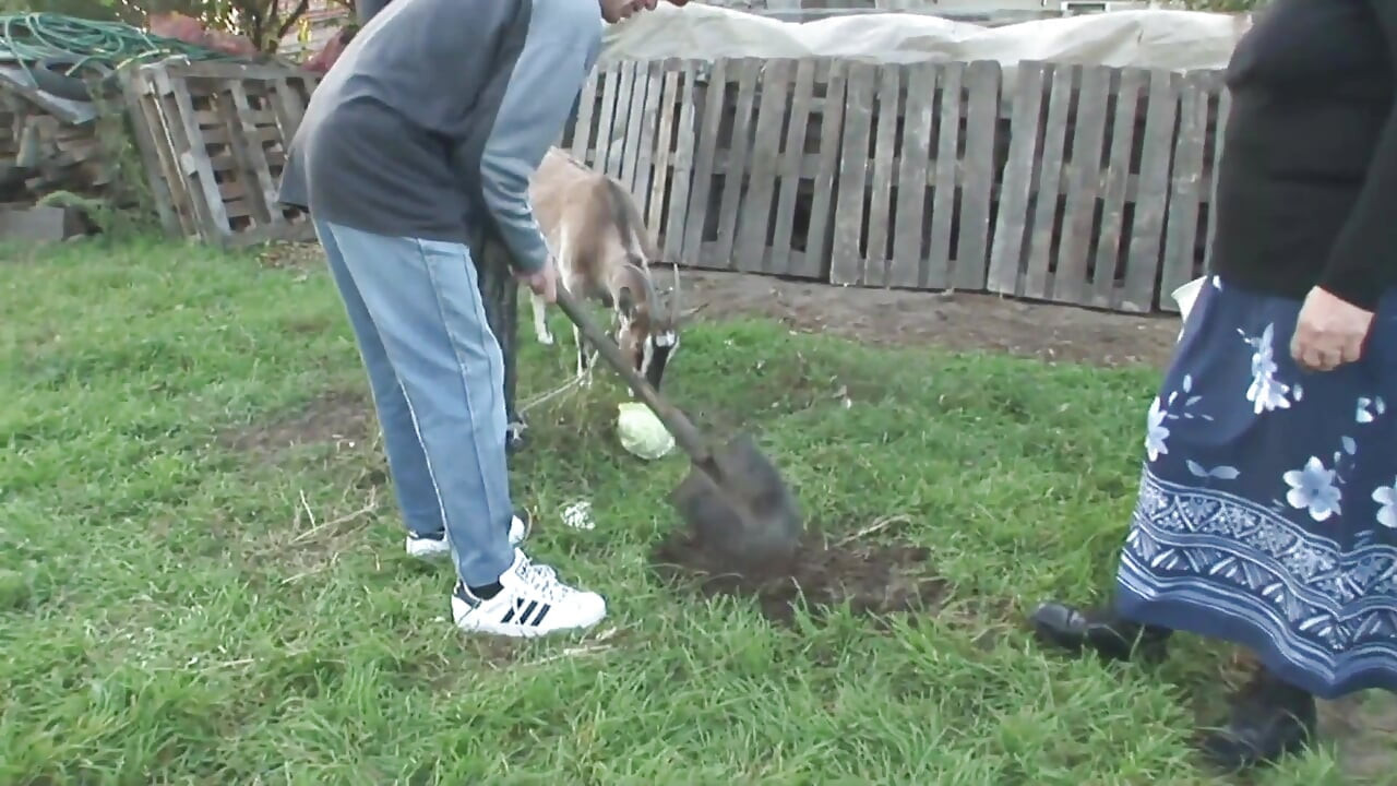 Big ass granny likes cum on tits and outdoor fuck