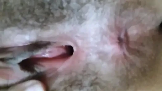 Ägyptische algerische frau spielt mit ihrer lieben muschi, bis sie fickt, eine arabische muschi voller haare