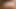 ぽっちゃり系美女がテーブルで犯される