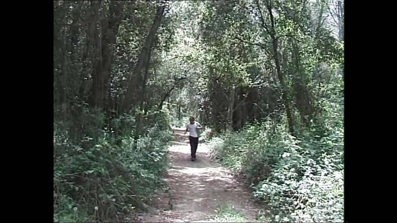 Nacho fode todos eles