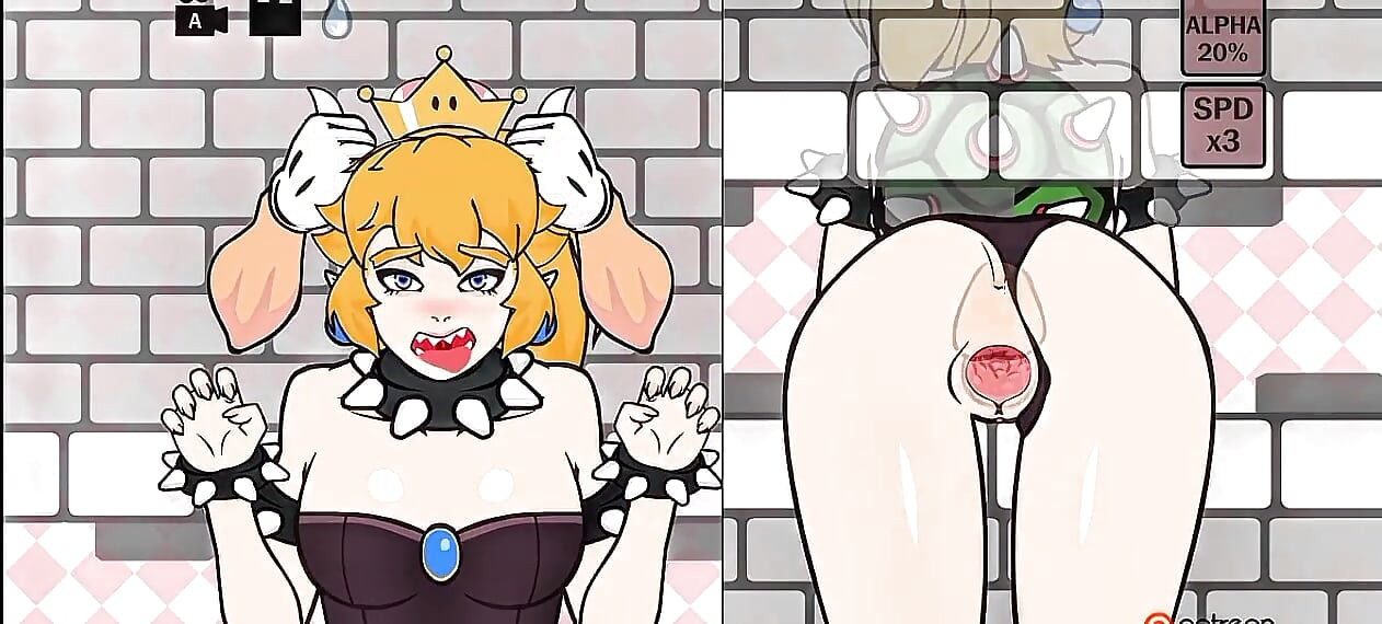 Ajude Bowser