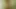 From the Czech Republic Monika the brunette who became a