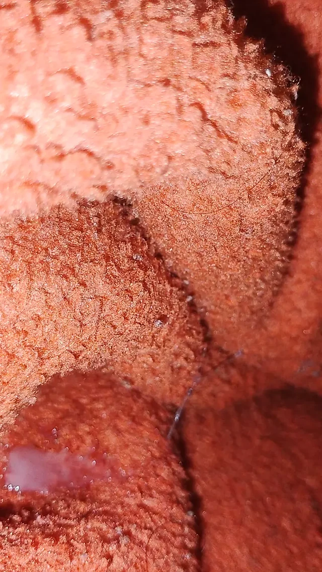 Continue Cumming on my bedsheet