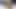 エボニー・スリム・シック・スラット・ディヴァーズド
